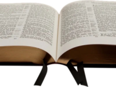 CUM Text Image PNG