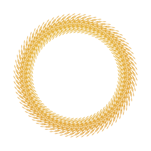 Mandala Free Download PNG – Transparent Mandala Images 12