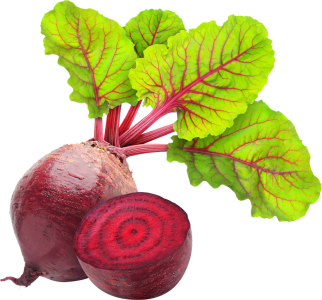 Beetroot Icon Scalable Graphics png