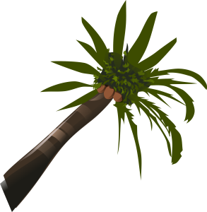 Date Palm Tree Transparent PNG