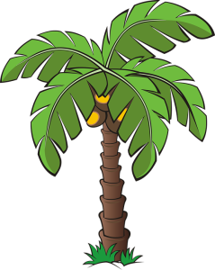 Date Palm Tree Transparent PNG