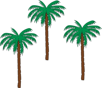 Date Palm Tree Transparent PNG
