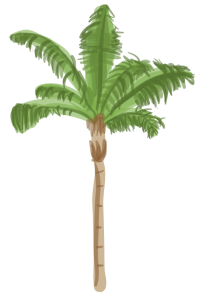 Date Palm Tree Transparent PNG