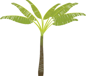 Date Palm Tree Transparent PNG