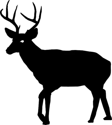 Wild Deer Image PNG