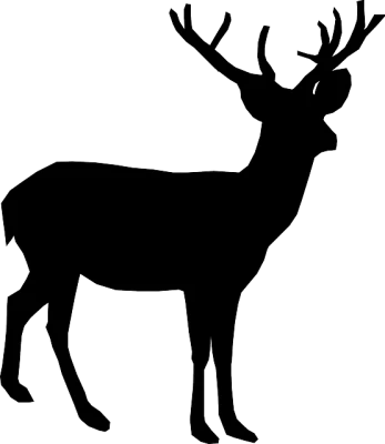 Wild Deer Image PNG