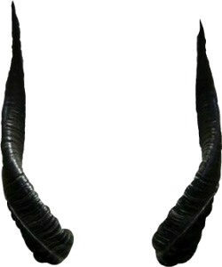 Devil Horns Transparent PNG