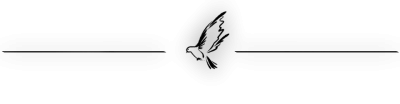 Divider Transparent PNG