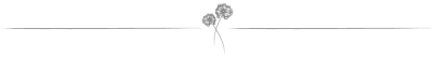 Line Graphic Image PNG