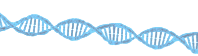 DNA Transparent PNG