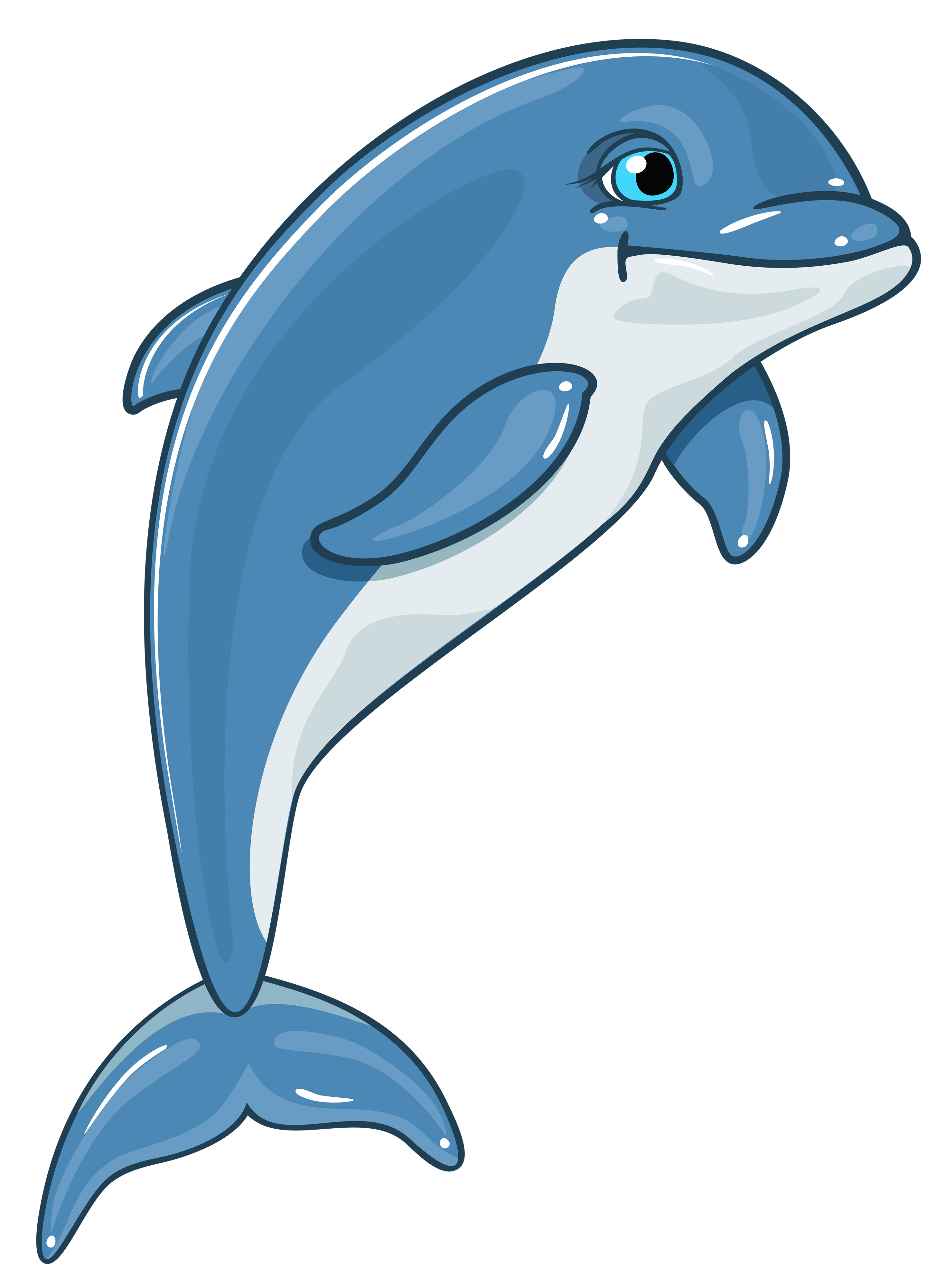 Dolphin Transparent PNG