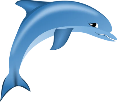 Dolphin Transparent PNG