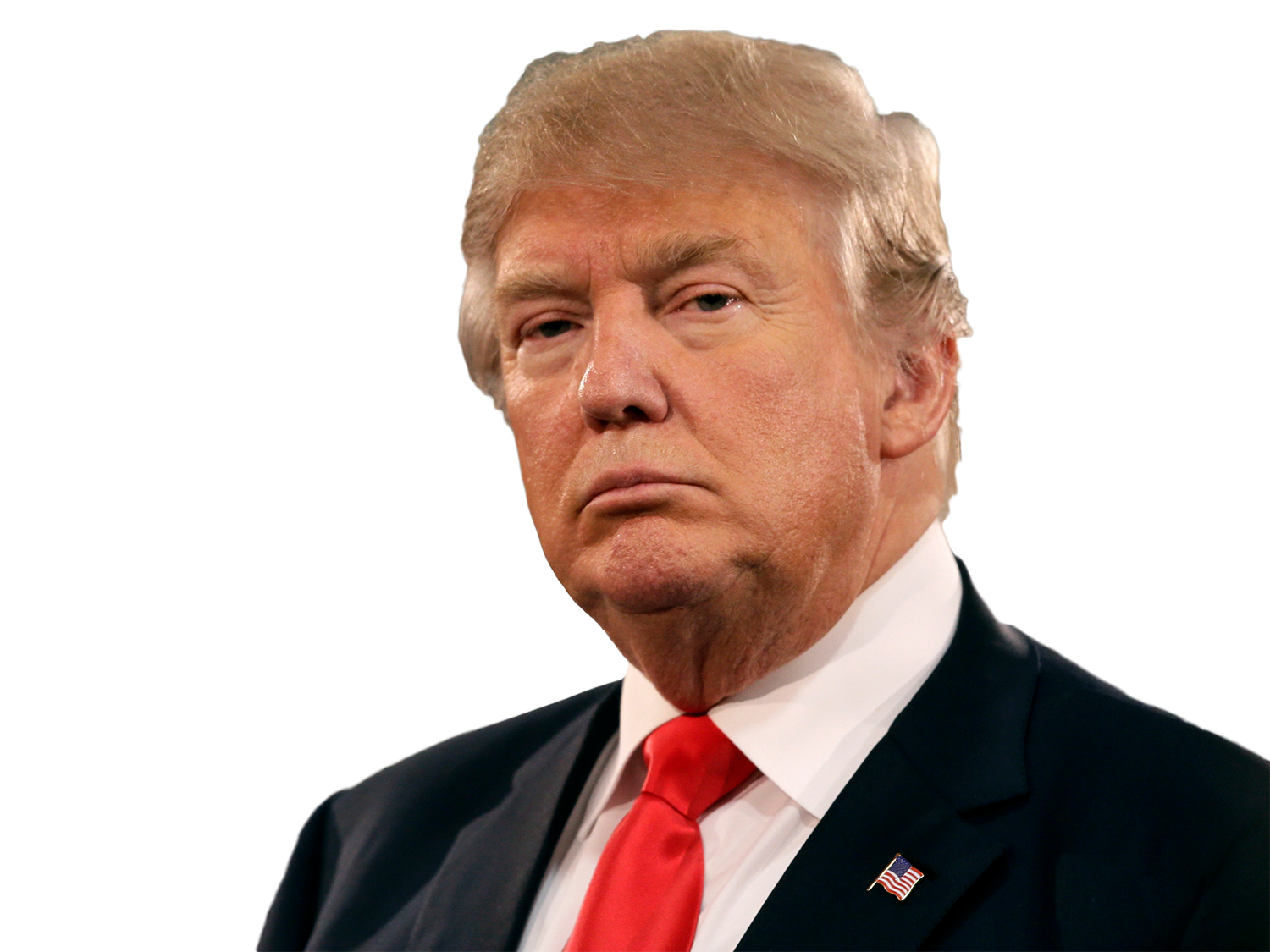 Donald Trump Transparent PNG