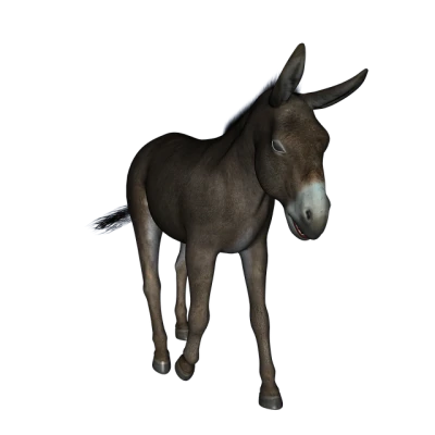 Donkey Transparent PNG