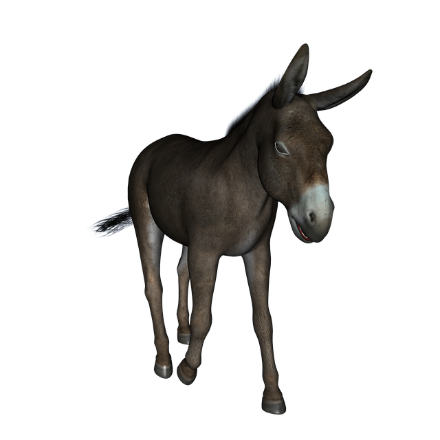 Donkey Transparent PNG