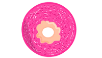 Sweet Donut PNG