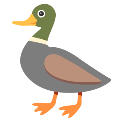 Wild Duck PNG