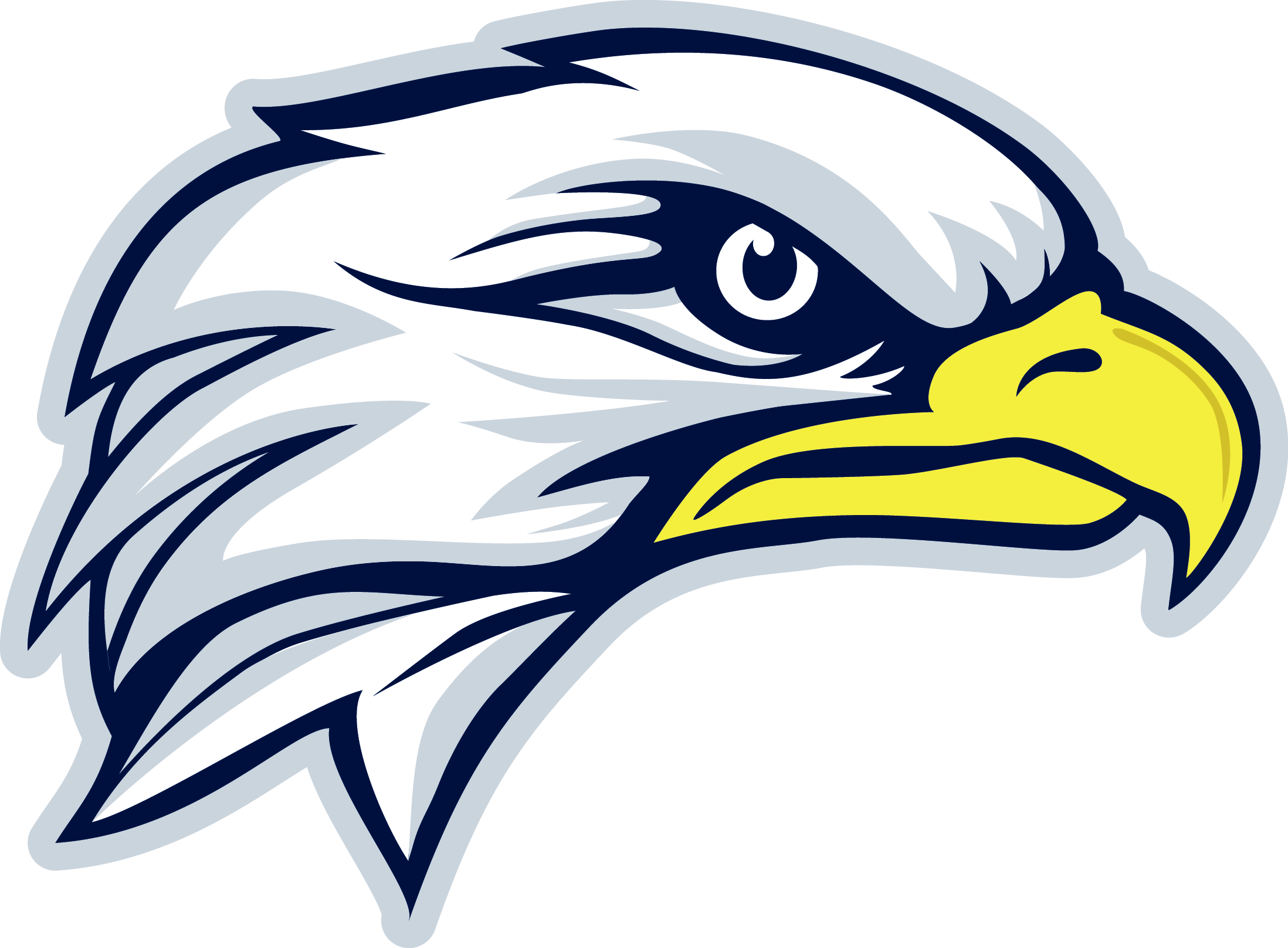 Philadelphia Eagles Logo PNG