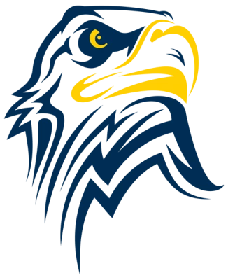 Eagles NFL Team PNG