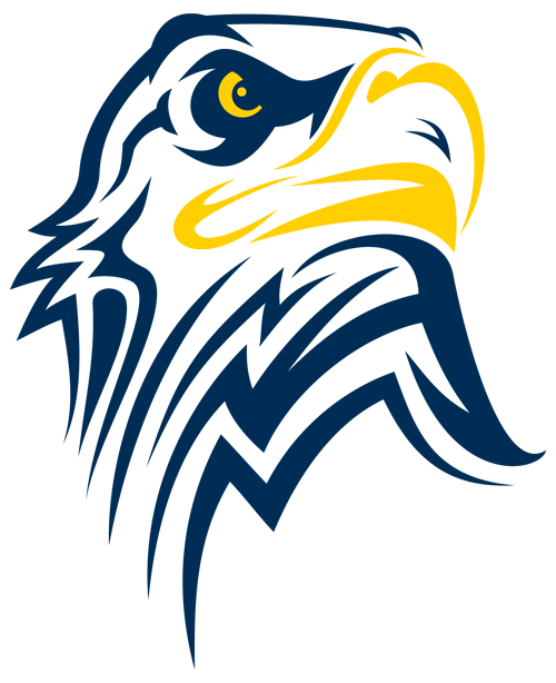Eagles NFL Team PNG