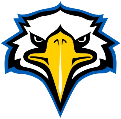 Eagles NFL Team PNG