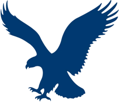 Eagles NFL Team PNG