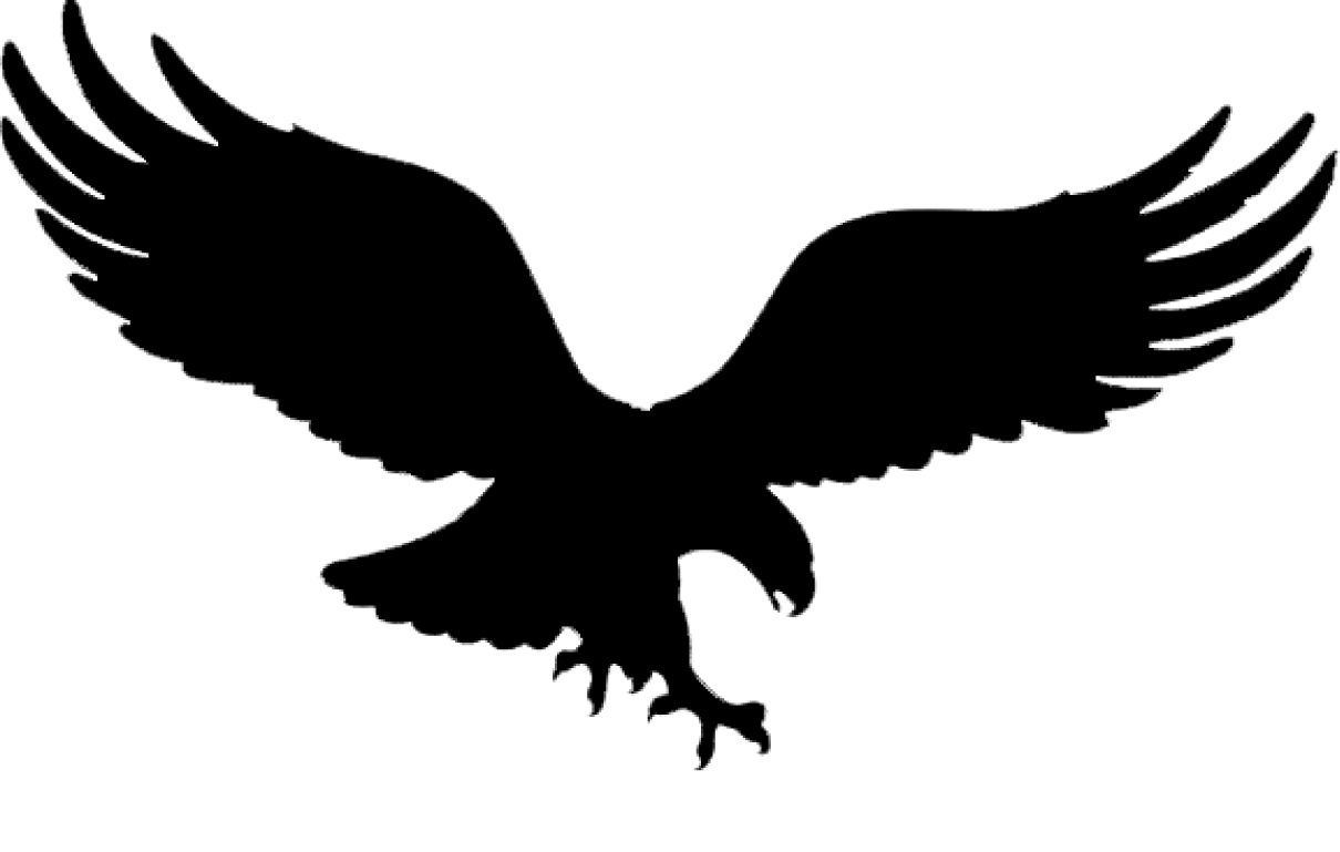 Eagles NFL Team PNG