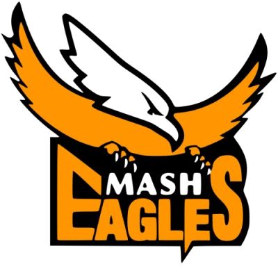 Eagles NFL Team PNG