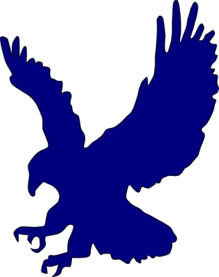 Eagles Logo PNG