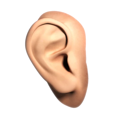 Human Ear Transparent PNG