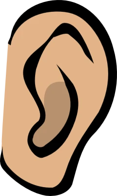 Human Ear PNG