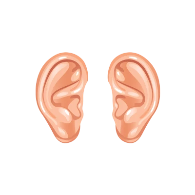 Human Ear PNG