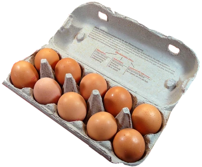 Egg PNG Transparent