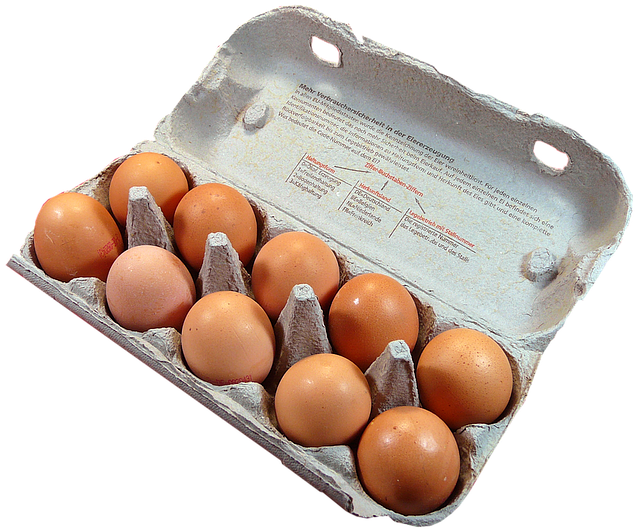 Egg PNG Transparent