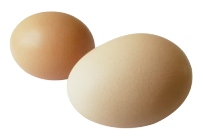 Chicken Egg PNG