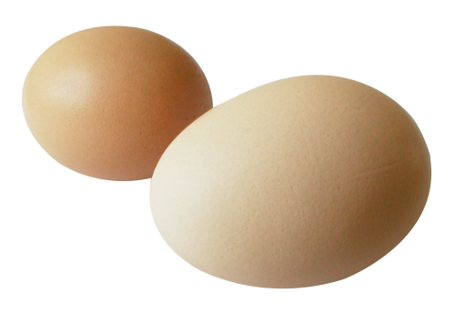 Chicken Egg PNG