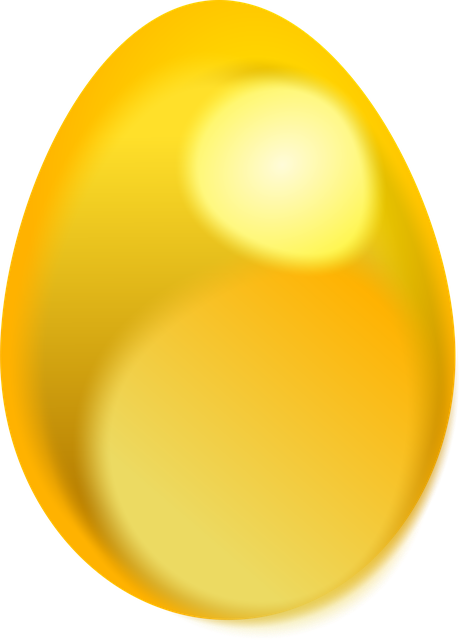 Chicken Egg PNG