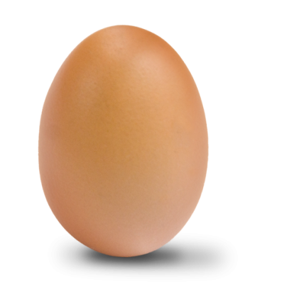 Chicken Egg PNG