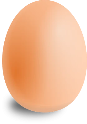 Chicken Egg PNG