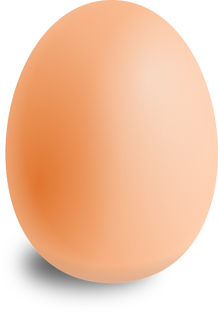 Chicken Egg PNG
