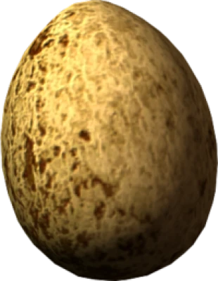 Chicken Egg PNG