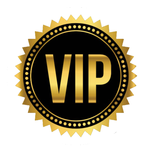 VIP ICON PNG LOGO