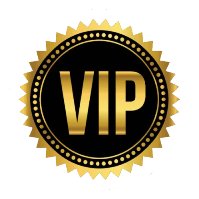 VIP ICON PNG LOGO