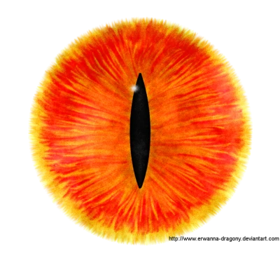 Human Eye Transparent PNG
