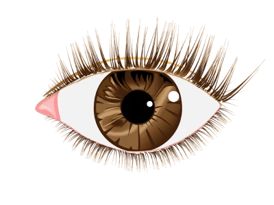 Human Eye Transparent PNG