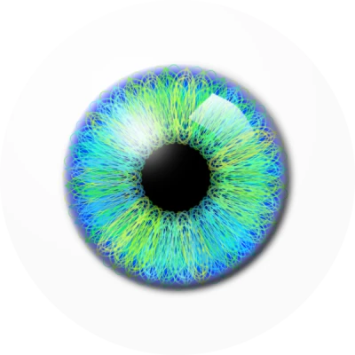 Realistic Eye PNG