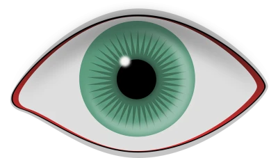 Realistic Eye PNG