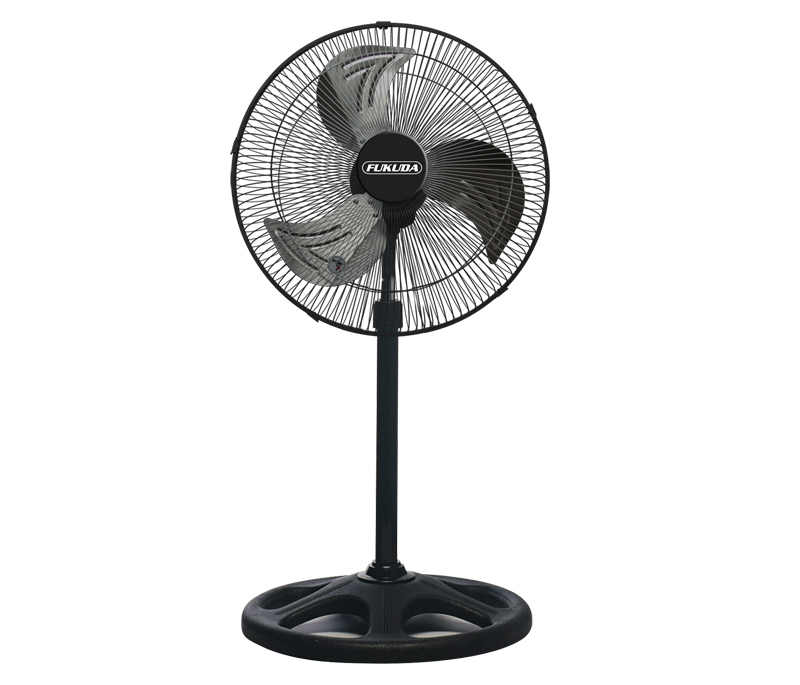 Fan PNG