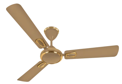 Fan PNG