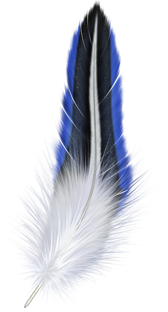 Feather PNG